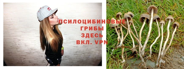 ГАЛЛЮЦИНОГЕННЫЕ ГРИБЫ Абаза