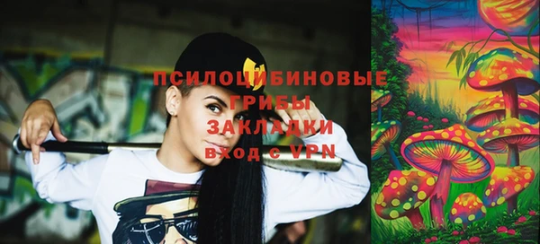 ГАЛЛЮЦИНОГЕННЫЕ ГРИБЫ Абаза