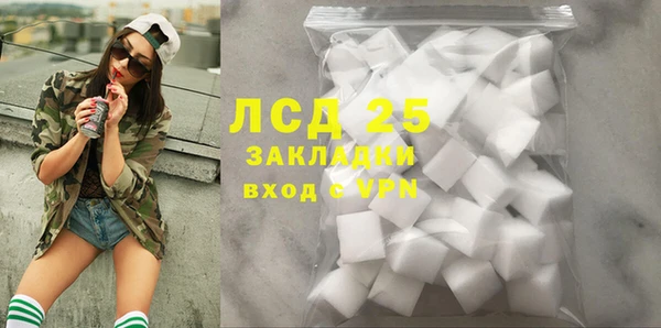 ГАЛЛЮЦИНОГЕННЫЕ ГРИБЫ Абаза