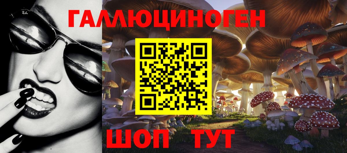 Галлюциногенные грибы Psilocybe Барнаул