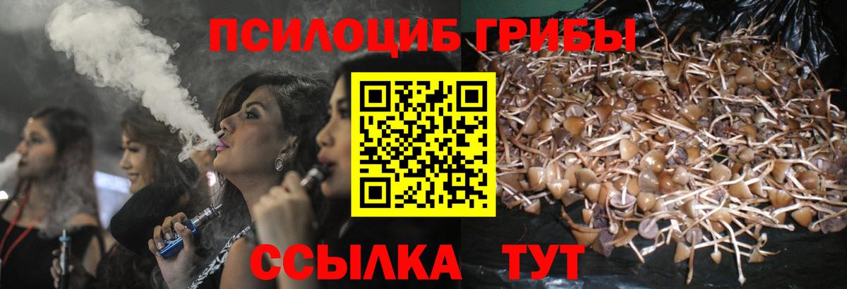 Галлюциногенные грибы Magic Shrooms  Вход с VPN  Барнаул 